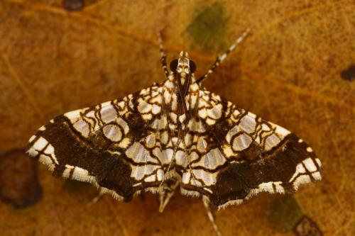 IMG-254e19e5c6a0144fda17019801613aba-V 1000