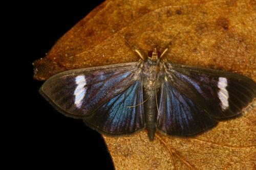 IMG-3e04d751d89ae94e6f7f559aca510996-V 1000