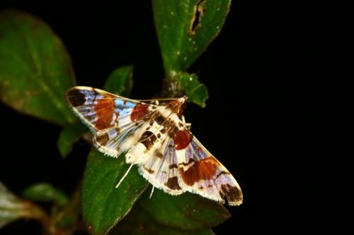 IMG-7ef958ed7c43e74f9893f17acbedb61f-V 1000