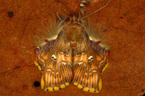 IMG-86e2f7b1b62a64b35a61dc95c53f3898-V 1000